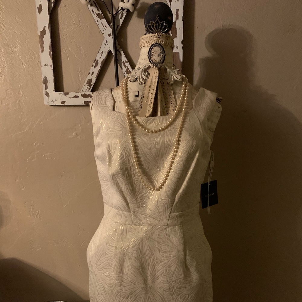 Ellen Tracy Dress